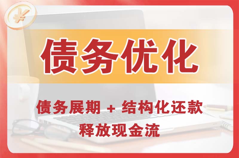 怀宁债务优化
